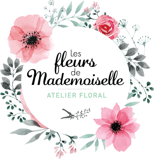 Logo fond transparent